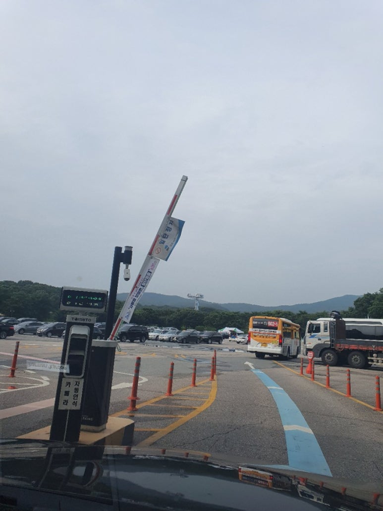 카페 엘(CAFE L) 이미지