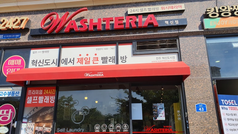 워시테리아전주 이미지