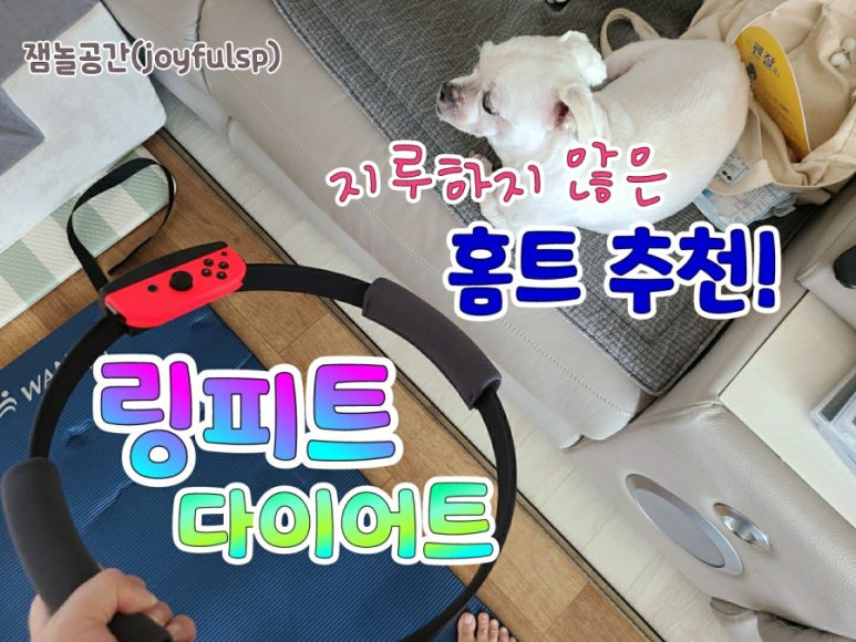 잼놀 이미지