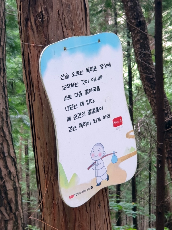 다솔황토 이미지