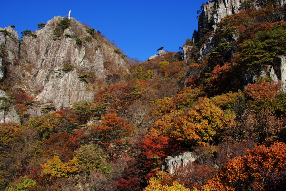 산좋고물좋고 이미지