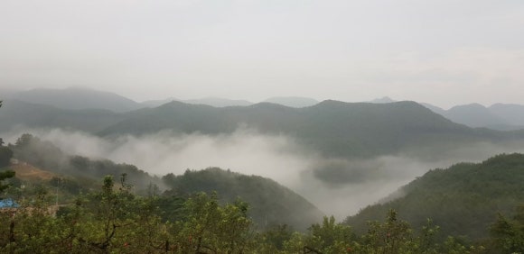 아미산쑥티된장 이미지