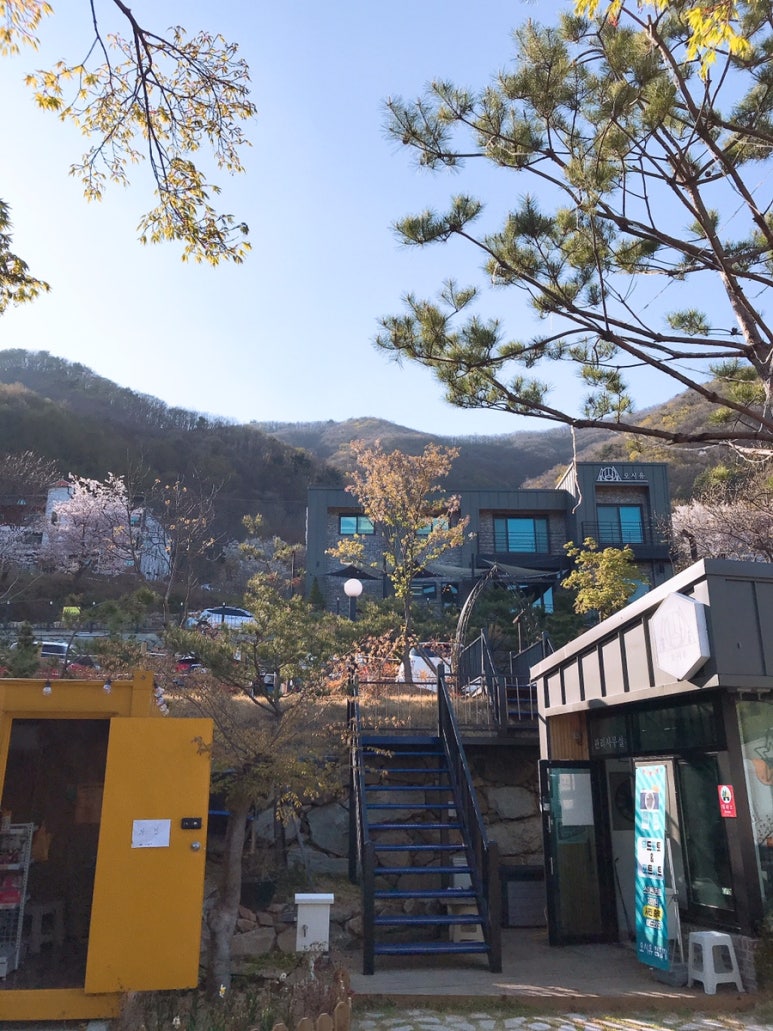오시유 이미지
