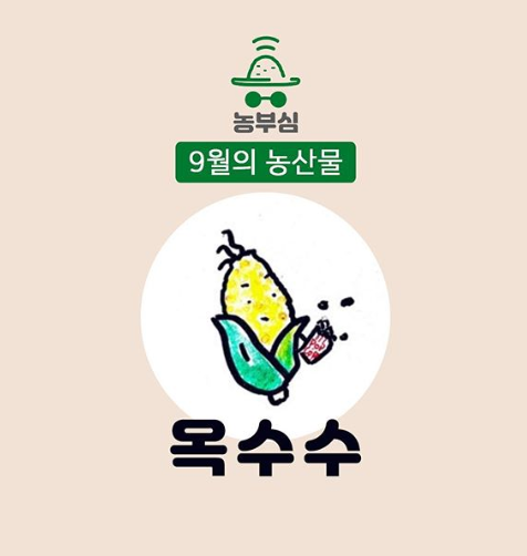 농부심 이미지