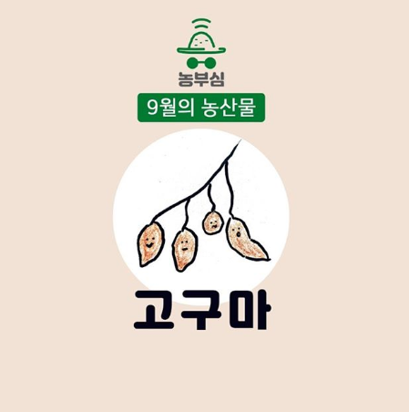 농부심 이미지