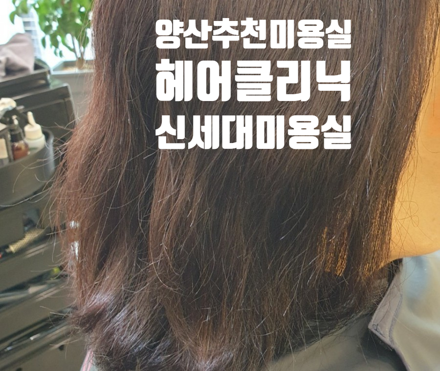 신세대미용실 이미지