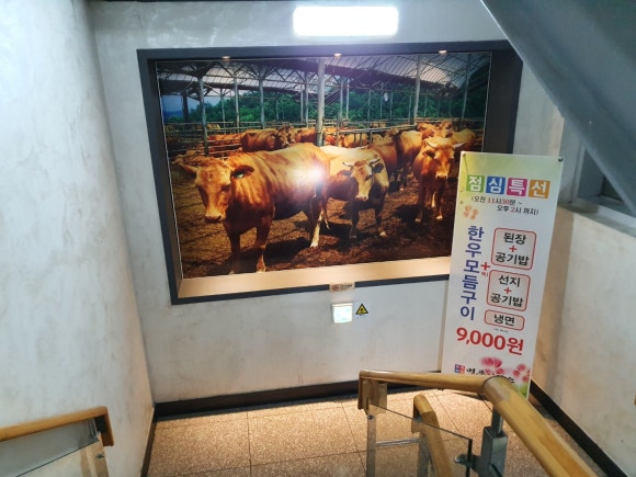 명품진한우 이미지