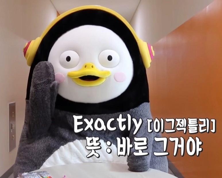 감플레르 이미지