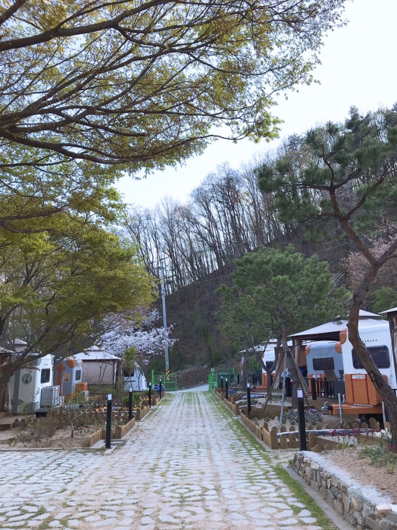 오시유 이미지