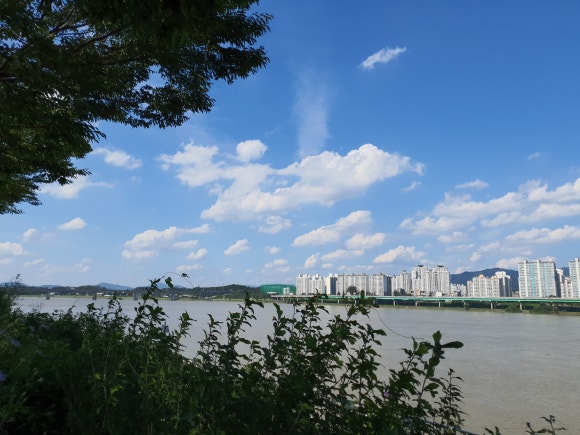성내당구장 이미지
