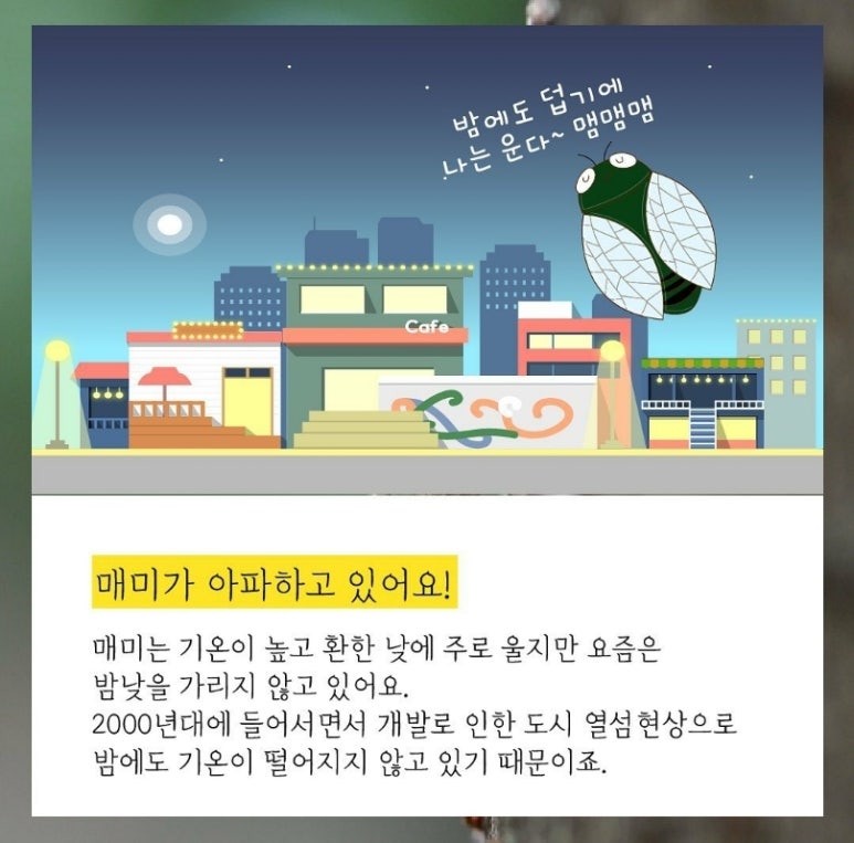 책피어나다 이미지