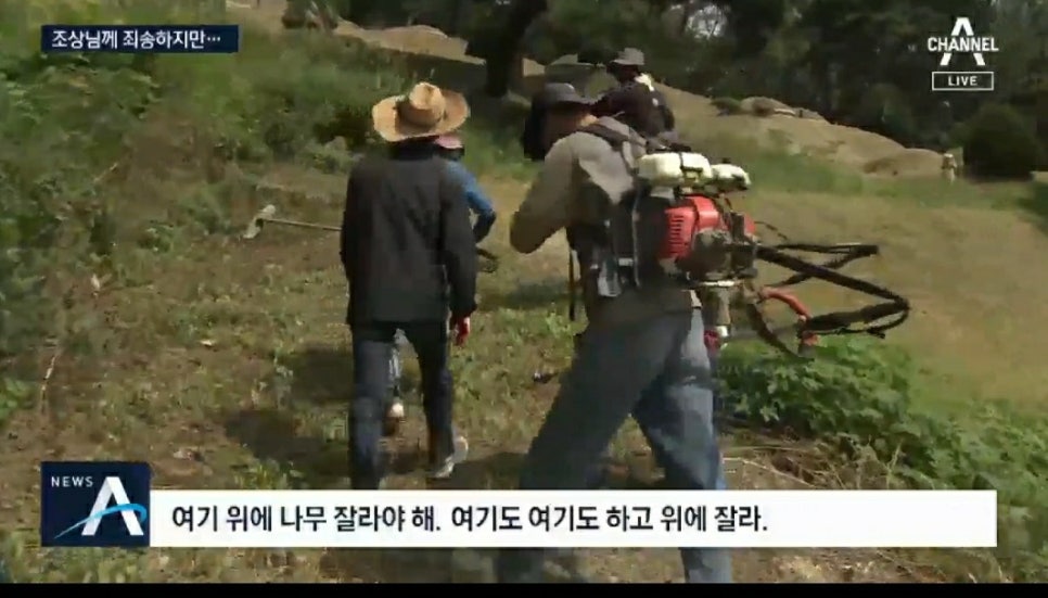 성일조경 이미지