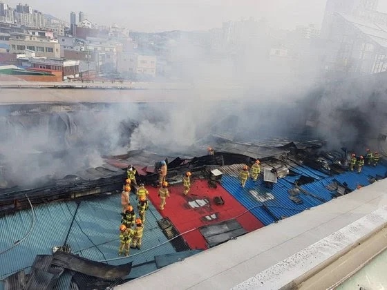 억대냉동 이미지