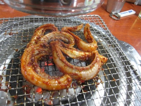 대구아나고곰장어 이미지