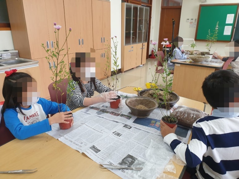 대구왕선초등학교 이미지