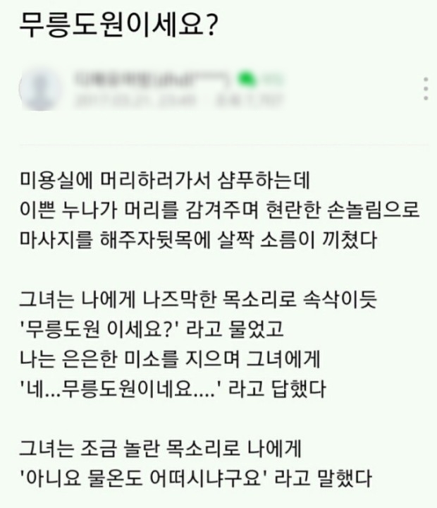 헤어메리엘 이미지