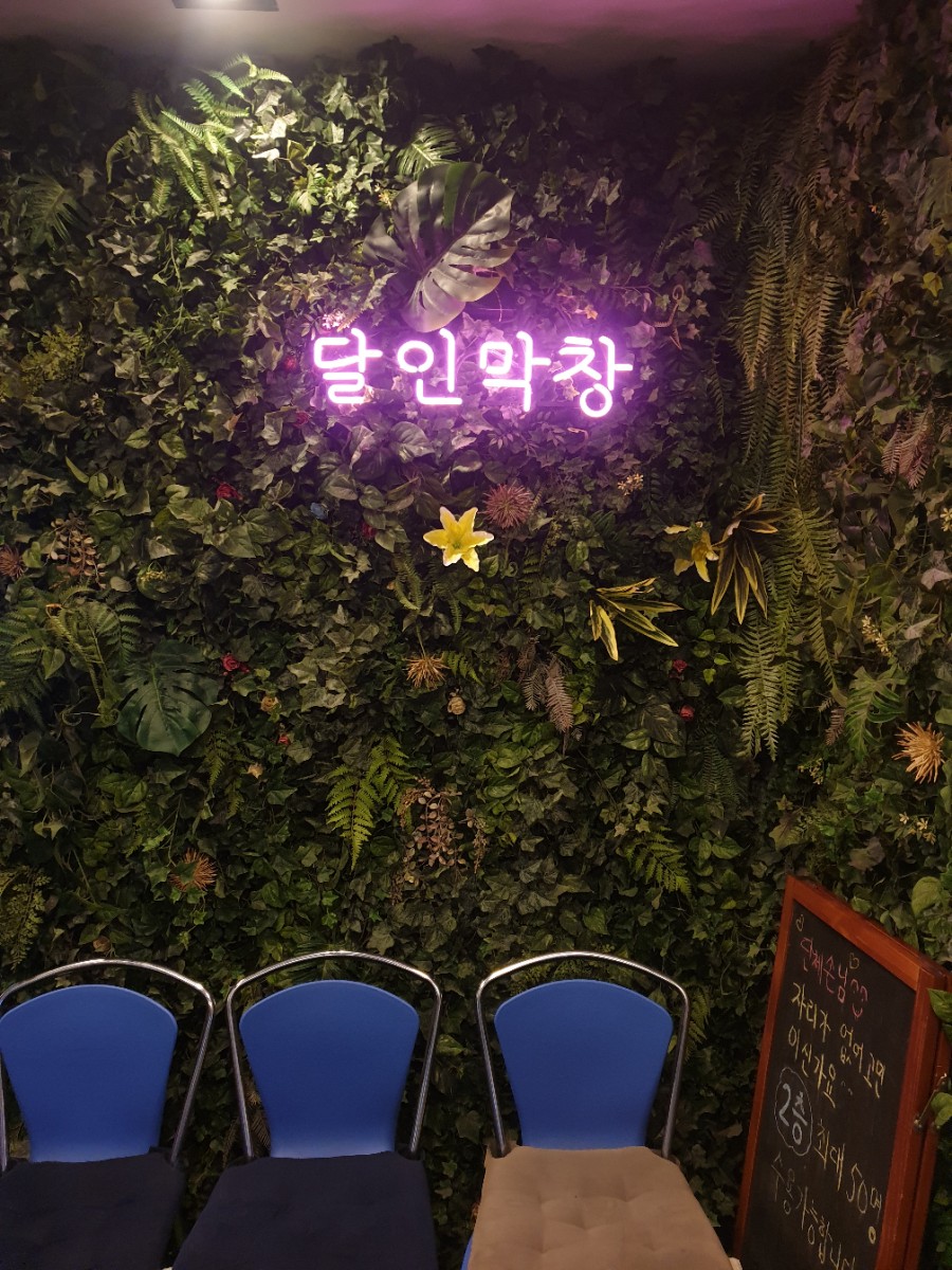 해운대 막창 이미지