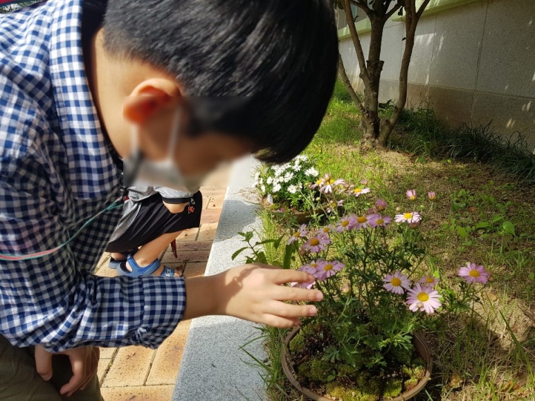 대구왕선초등학교 이미지