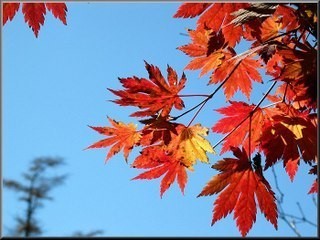 세일라메디스파(상무점) 이미지