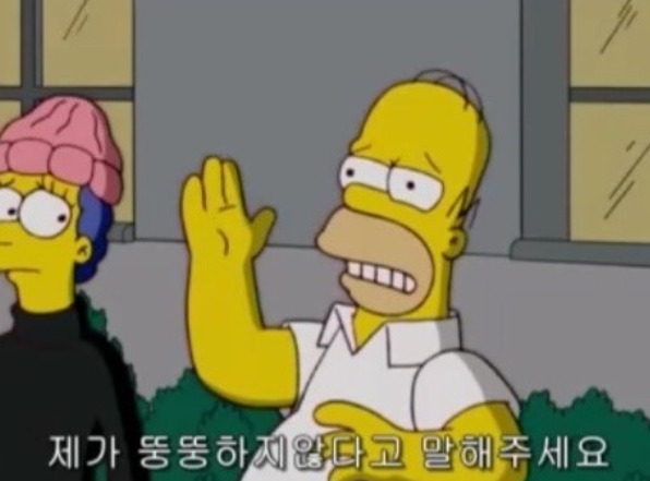 여행나무 이미지