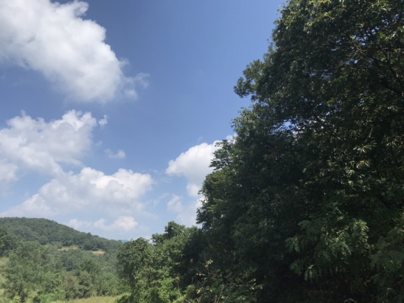 세화문경약돌한우 이미지