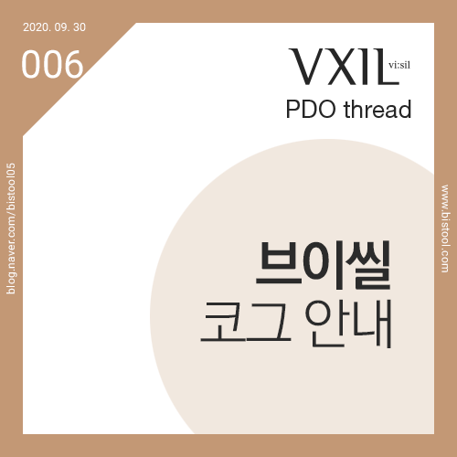 비코그 이미지