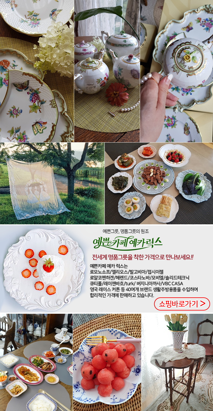 비아노바 이미지