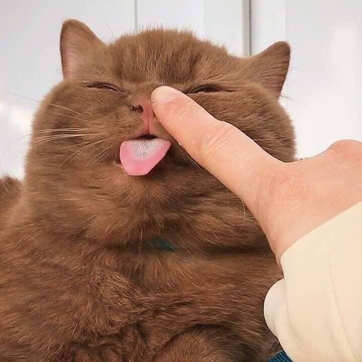 기릿 이미지