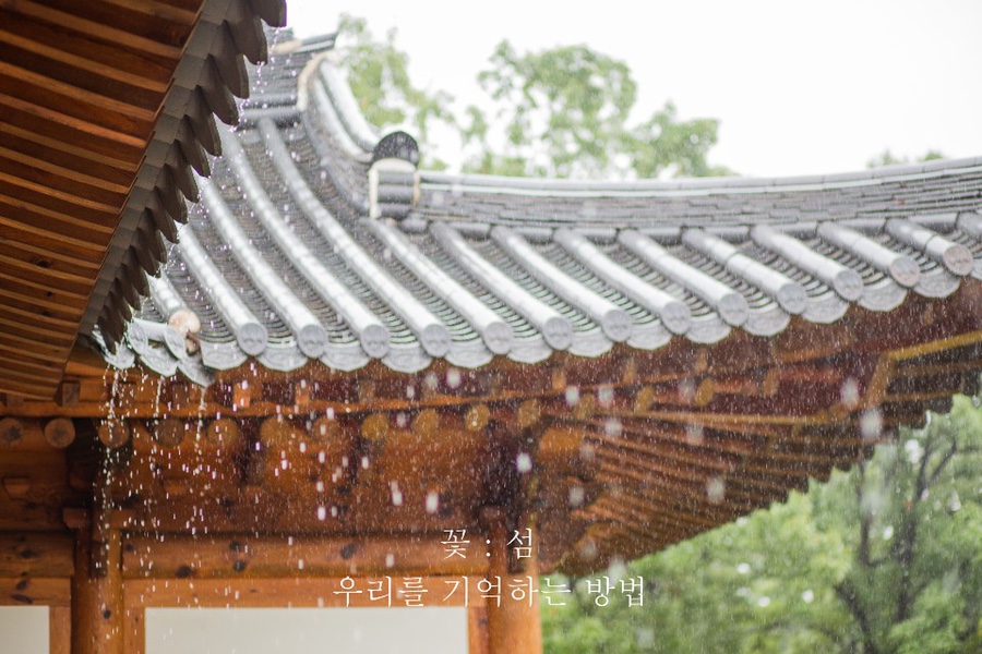 프롬히얼 이미지