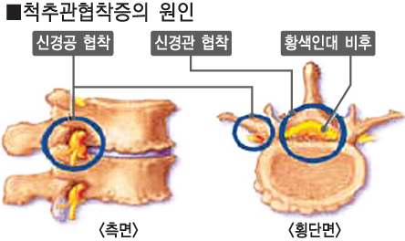 성모한길정형외과 이미지