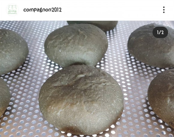 꼼빠뇽베이커리 이미지