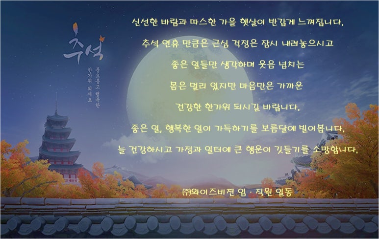 와이즈비젼 이미지
