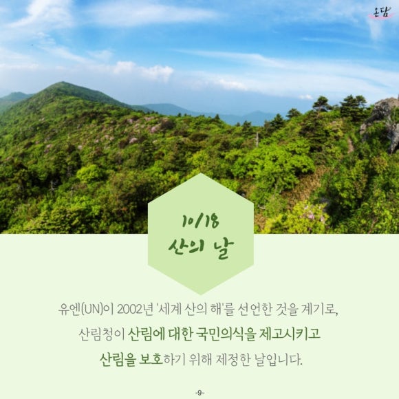 온담화 이미지