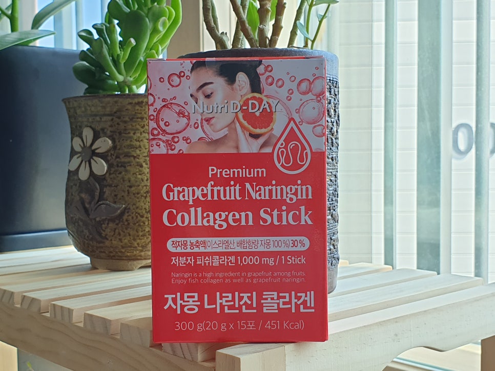 디자몽 이미지