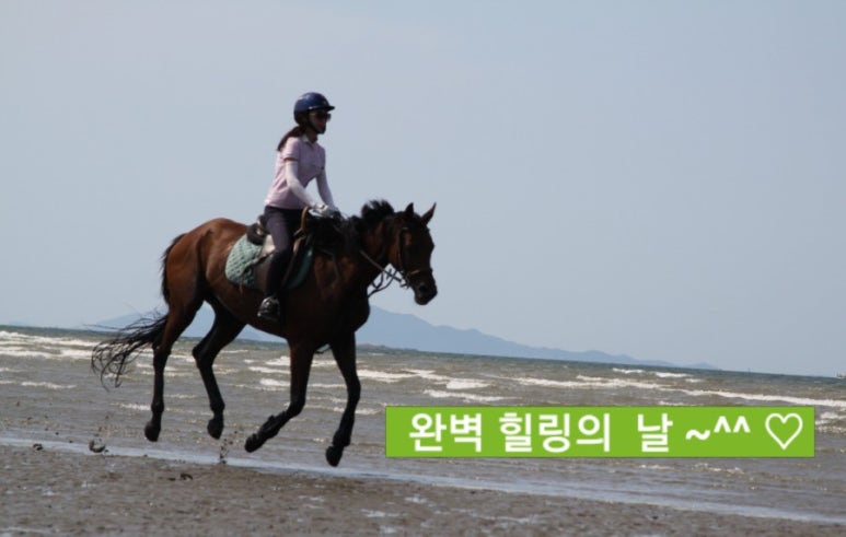 김제지평선홀스랜드 이미지