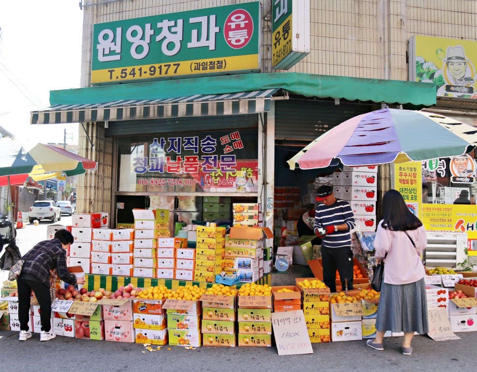 은아청과 이미지