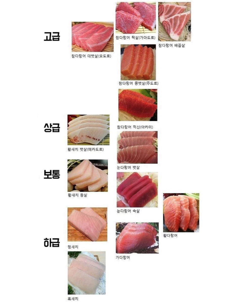 수참치 이미지