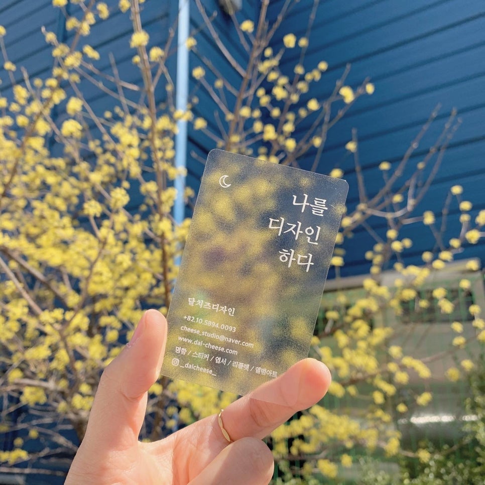 달치즈디자인 이미지