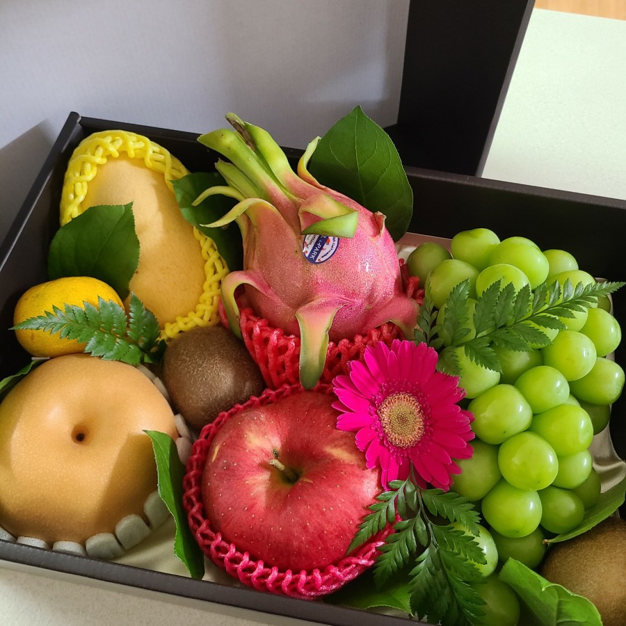 라.FRUTA 이미지