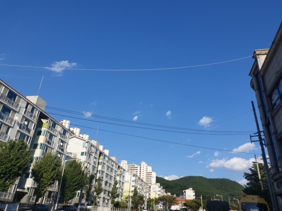동락매점 이미지
