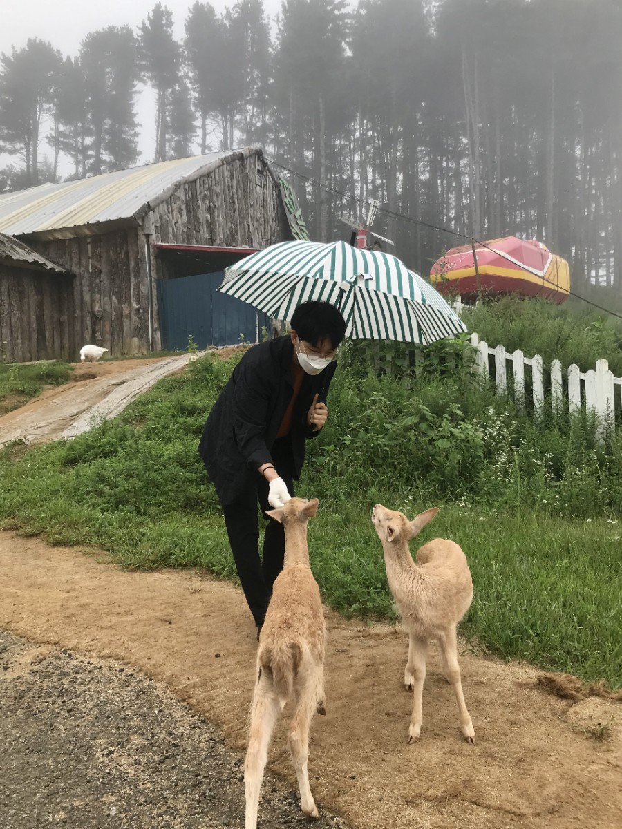 대관령주주파크 이미지