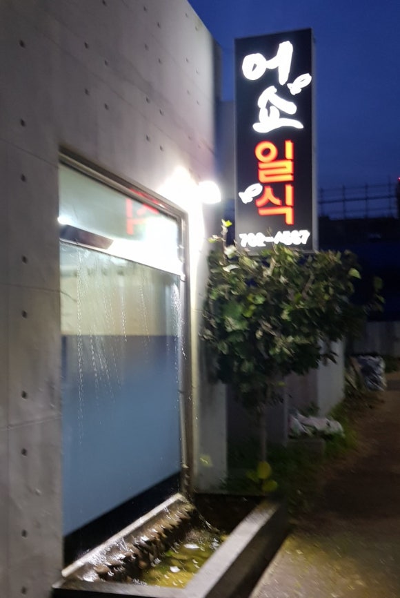 어쇼일식 이미지