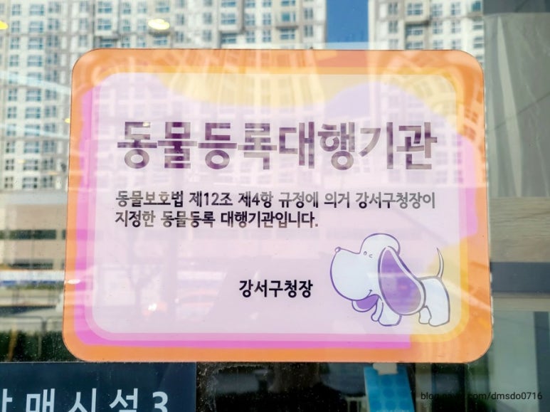 송정나무병원 이미지