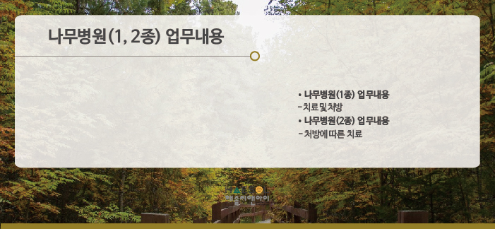 해솔나무병원 이미지