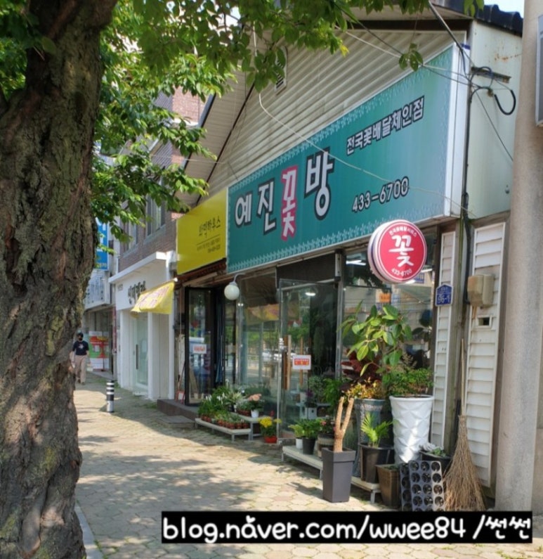 와떡하우스 이미지