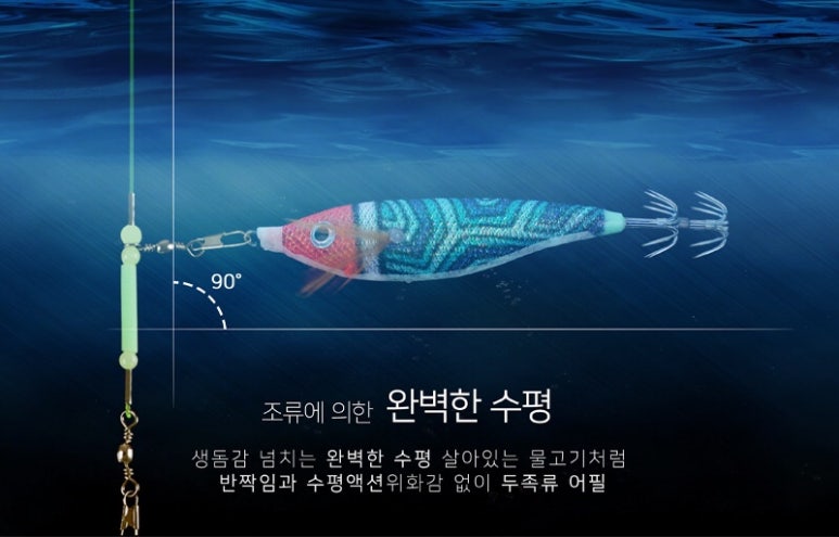 비다컴퍼니 이미지