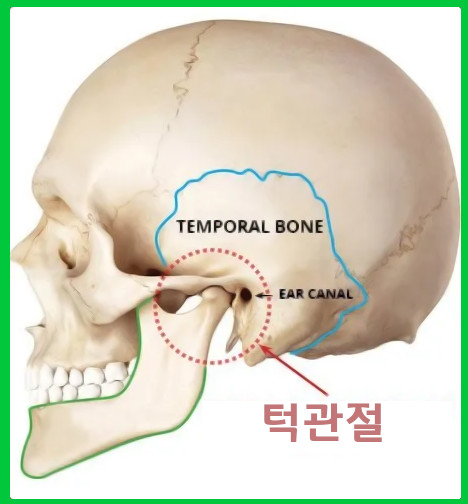 서울소담치과 이미지