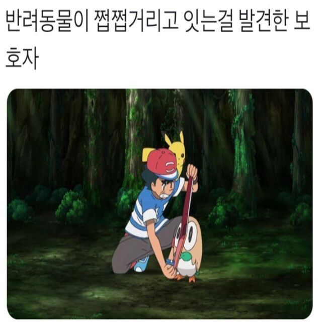 데일리 김밥 이미지