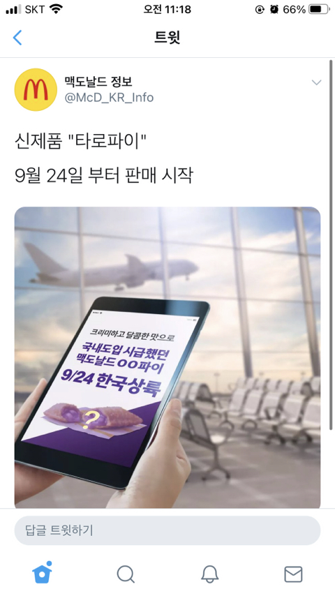 윤파이 이미지