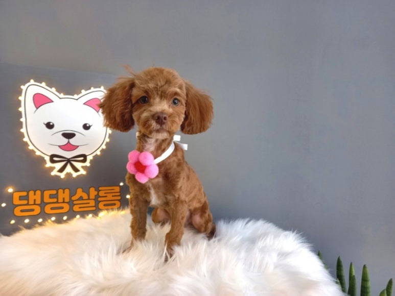 살롱3039 이미지